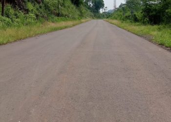 PT. PLN Fokus Pengembangan Ekosistem Akselerasi Energi Terbarukan (EBT)