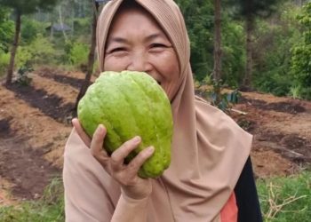 Pimpinan Ponpes Atthoriq,  Nissa Wargadipura Akan Terima Panghargaan Pahlawan Pangan di Roma Italia