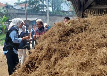 Putri Karlina Tertarik Maksimalkan Potensi Ekonomi Akar Wangi Garut dan Solusi Masalah Lahan Serta Limbah
