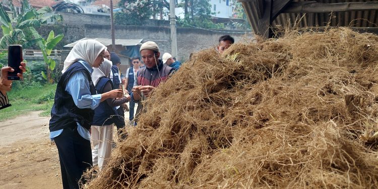 Putri Karlina Tertarik Maksimalkan Potensi Ekonomi Akar Wangi Garut dan Solusi Masalah Lahan Serta Limbah