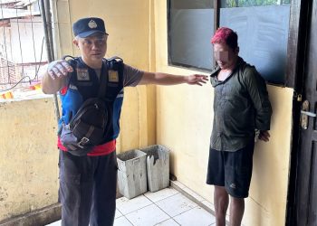 Gara Gara HP Jatuh, Pencuri Diringkus Polsek Pameungpeuk